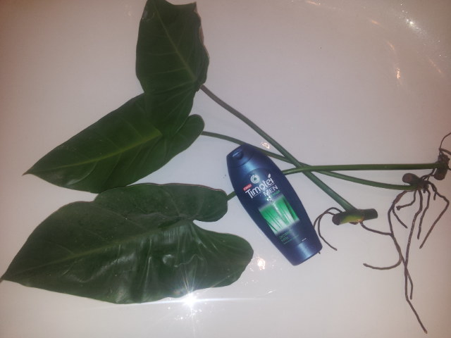 20131005_192926.jpg