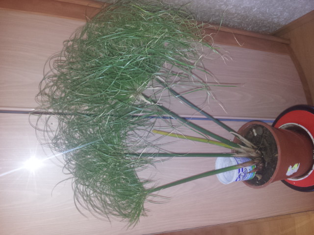 20131006_102239.jpg
