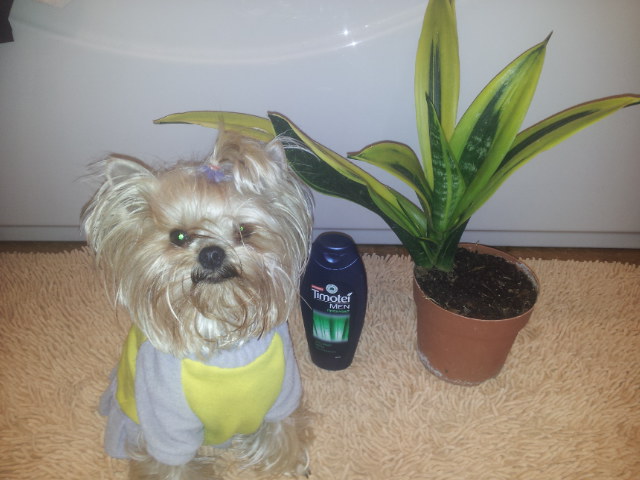20131007_105902.jpg