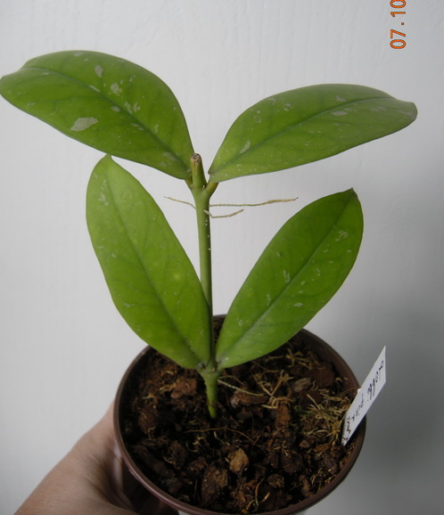 DSCN2830.JPG