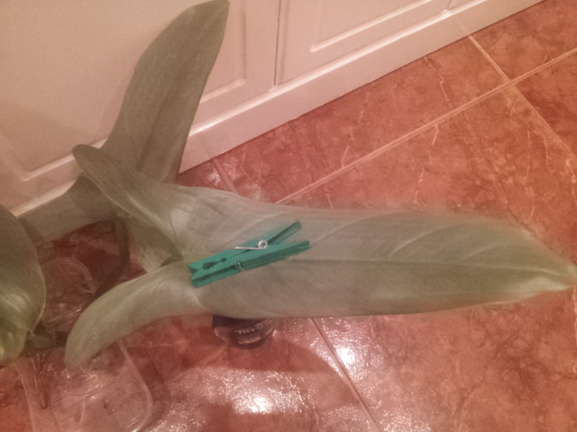 20130930_010631.jpg