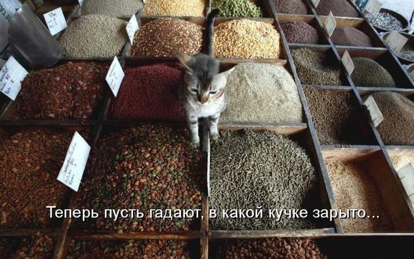 зарыто.jpg