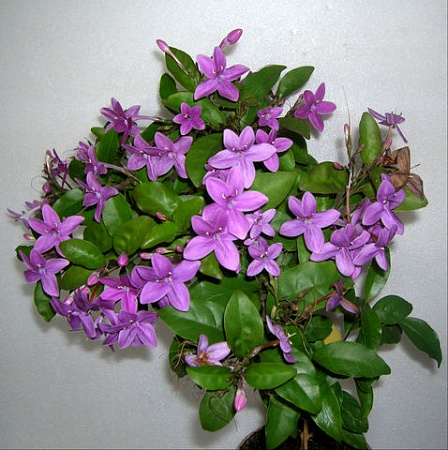 DSCN9051.JPG
