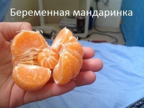 мандаринка.jpg