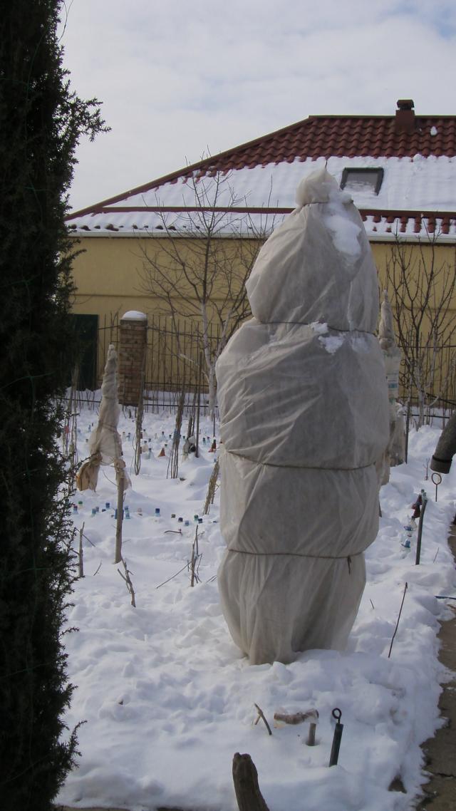 Весна 2011 002.jpg