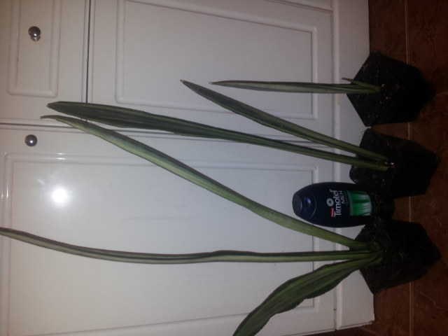 20131011_112143.jpg