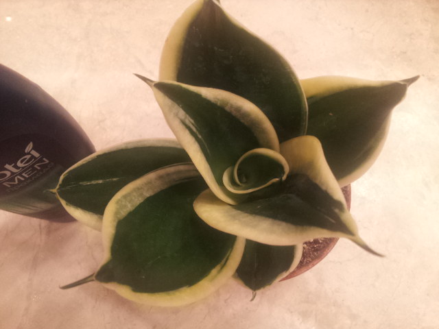 20131014_160536.jpg