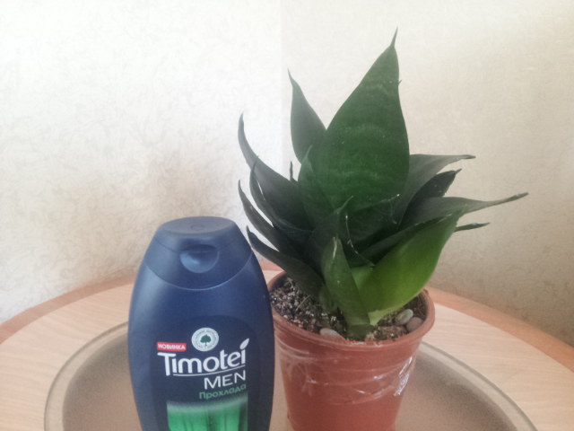 20131014_161306.jpg