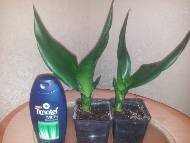 20131014_162915.jpg