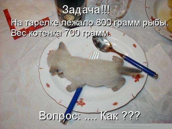 как.jpg