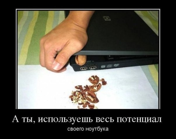 ноутбук.jpg