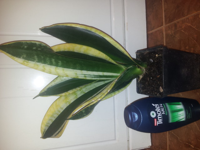 20131014_174103.jpg