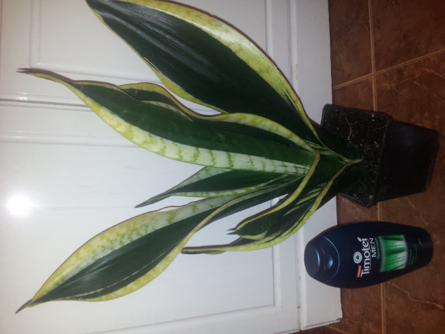 20131014_174041.jpg