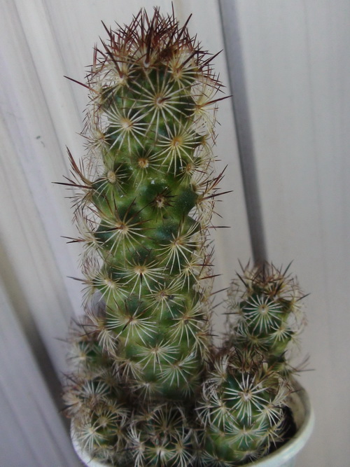 DSC00859.JPG