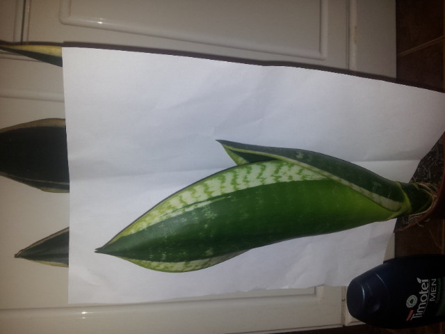 20131014_183023.jpg