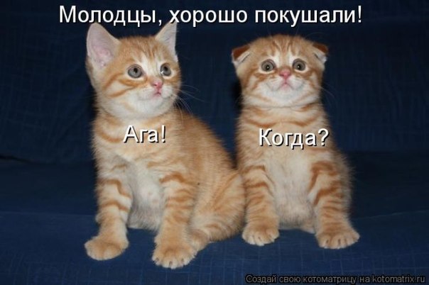 PaRWA2FEN2U.jpg