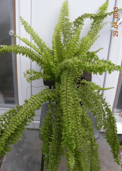 DSCN1723.JPG