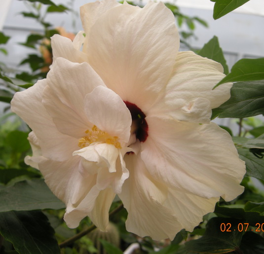 DSCN2161.JPG