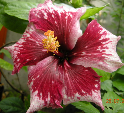 DSCN2236.JPG