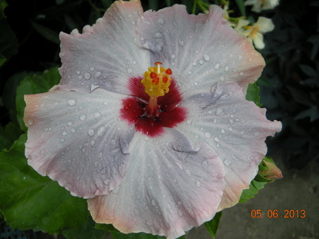 DSCN1988.JPG