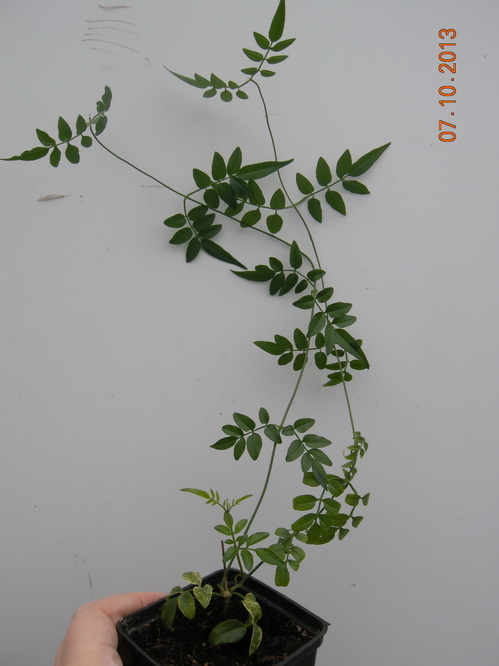 DSCN2832.JPG