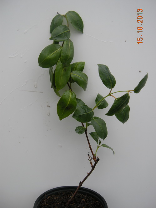 DSCN2860.JPG