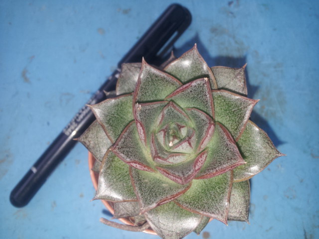 20131015_143022.jpg