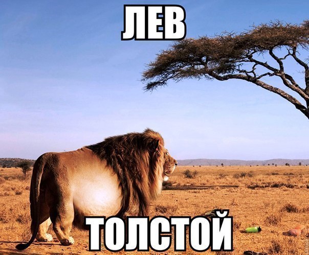 лев.jpg