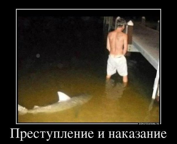 преступление.jpg