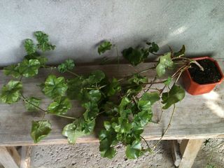 82_0130726001381663138.jpg