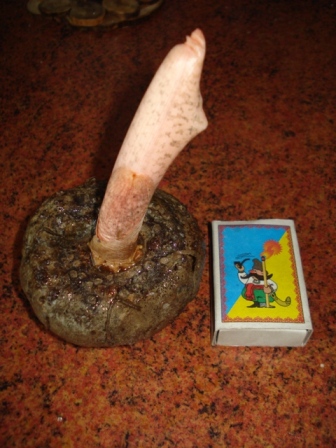 DSC07766.JPG