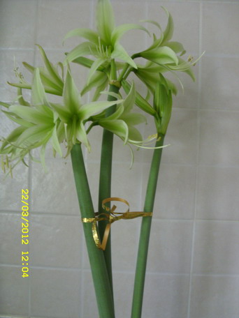 SDC11908.jpg