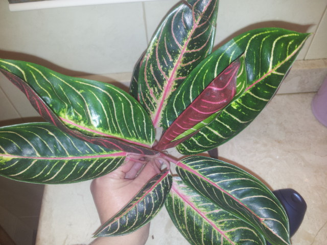 20131016_222920.jpg