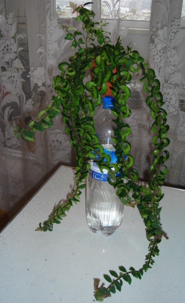 DSC00628.JPG