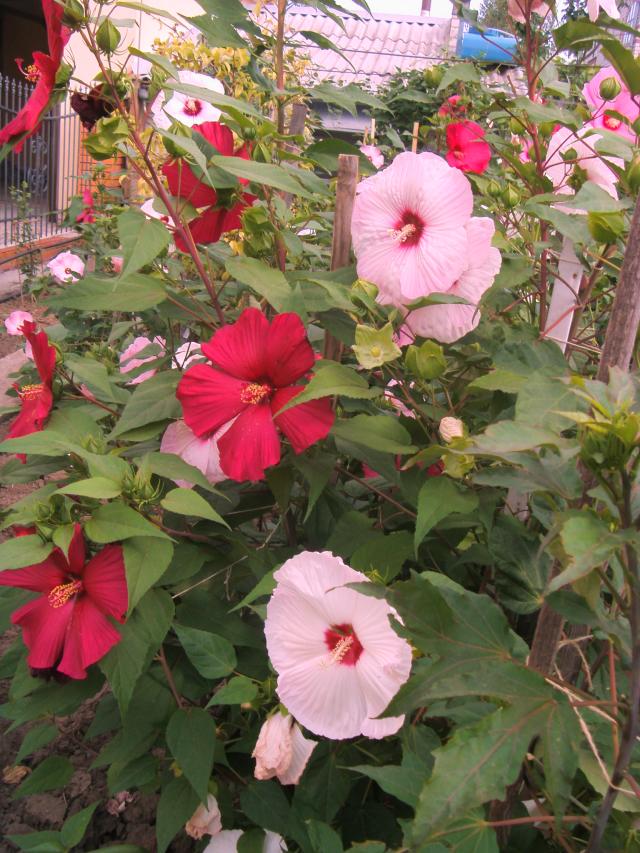 S73F4749.jpg