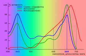 BingImages_16515.png