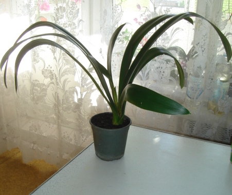 DSC00259.JPG
