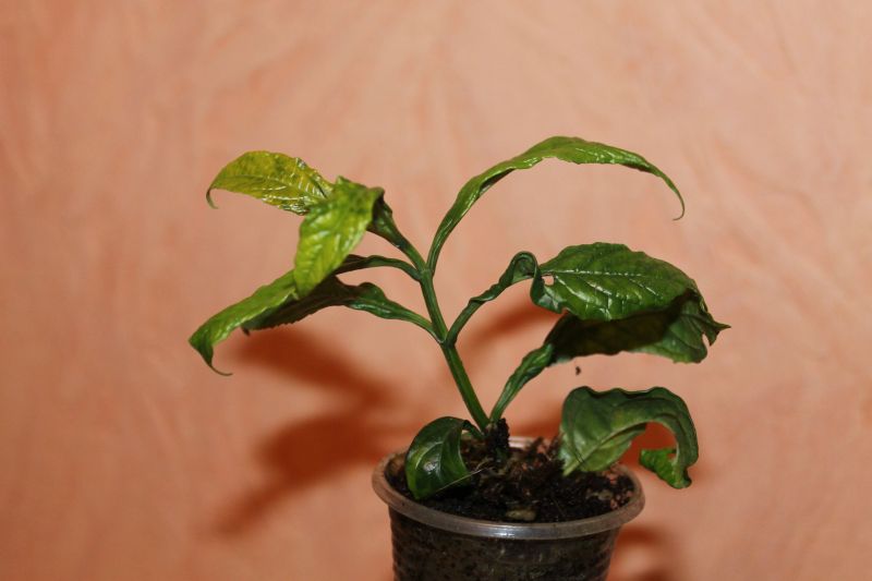 IMG_3317.jpg