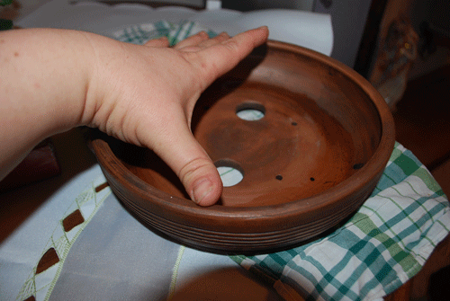 5.gif