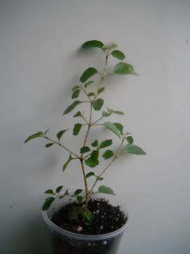 DSCN4314.JPG
