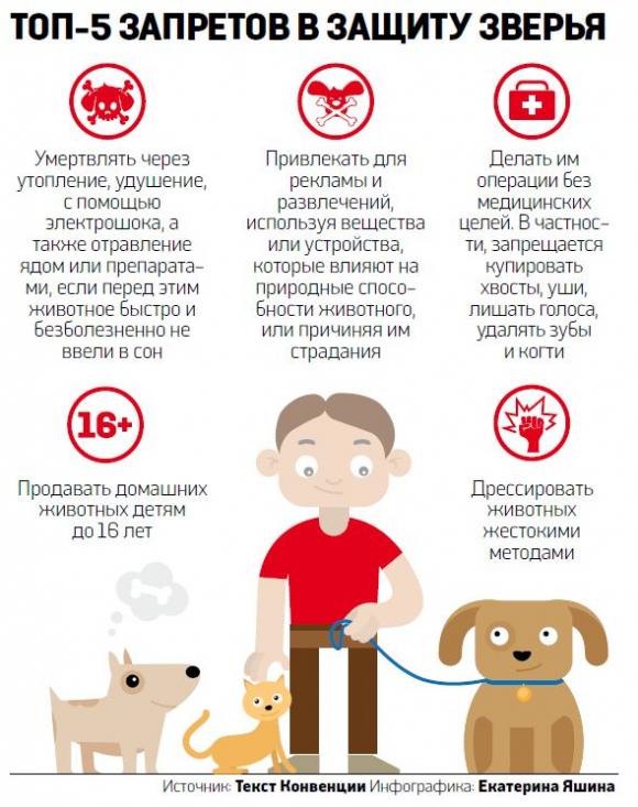 в защиту животных.jpg