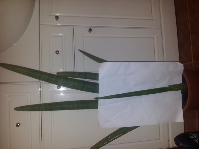 20131023_090230.jpg