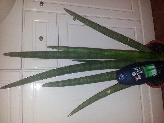 20131023_090352.jpg