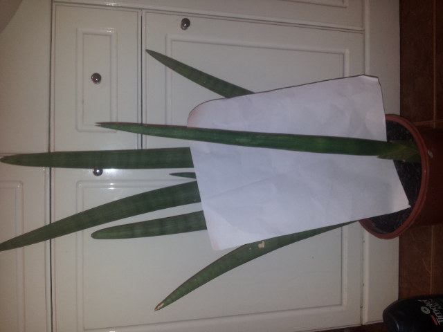 20131023_090153.jpg