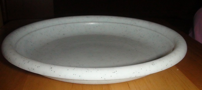DSC02728.JPG