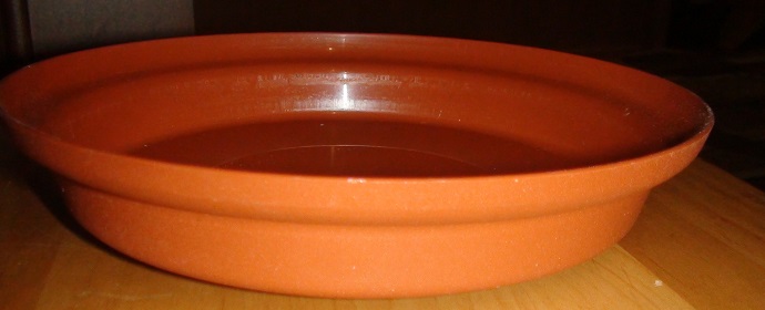DSC02736.JPG
