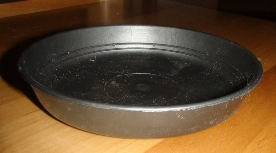 DSC02755.JPG