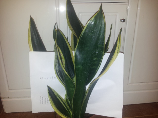 20131030_085329.jpg