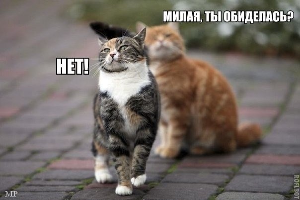 нет.jpg