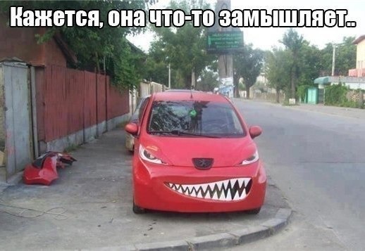 авто.jpg